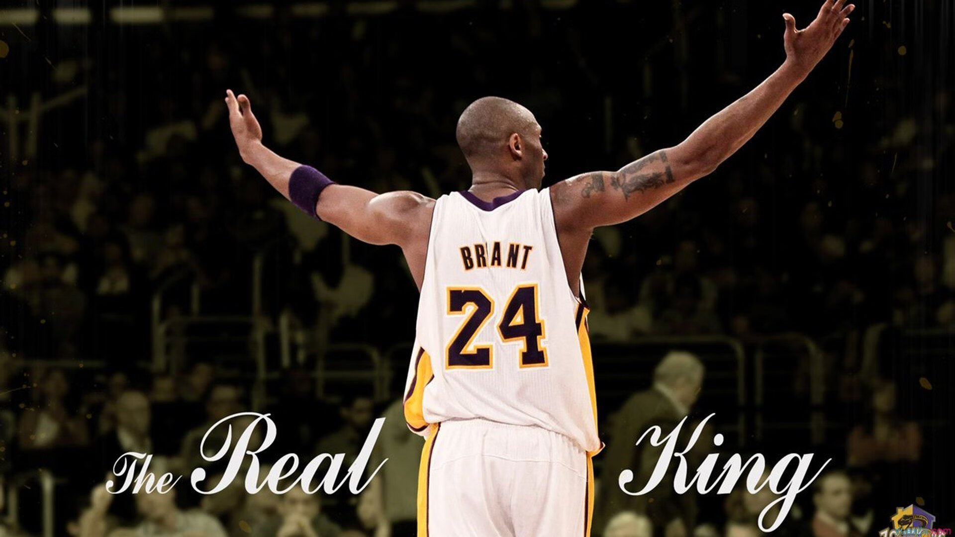 西决生死战焦点战,澳大利亚击溃贝蒂斯,篮球与足球的跨界启示